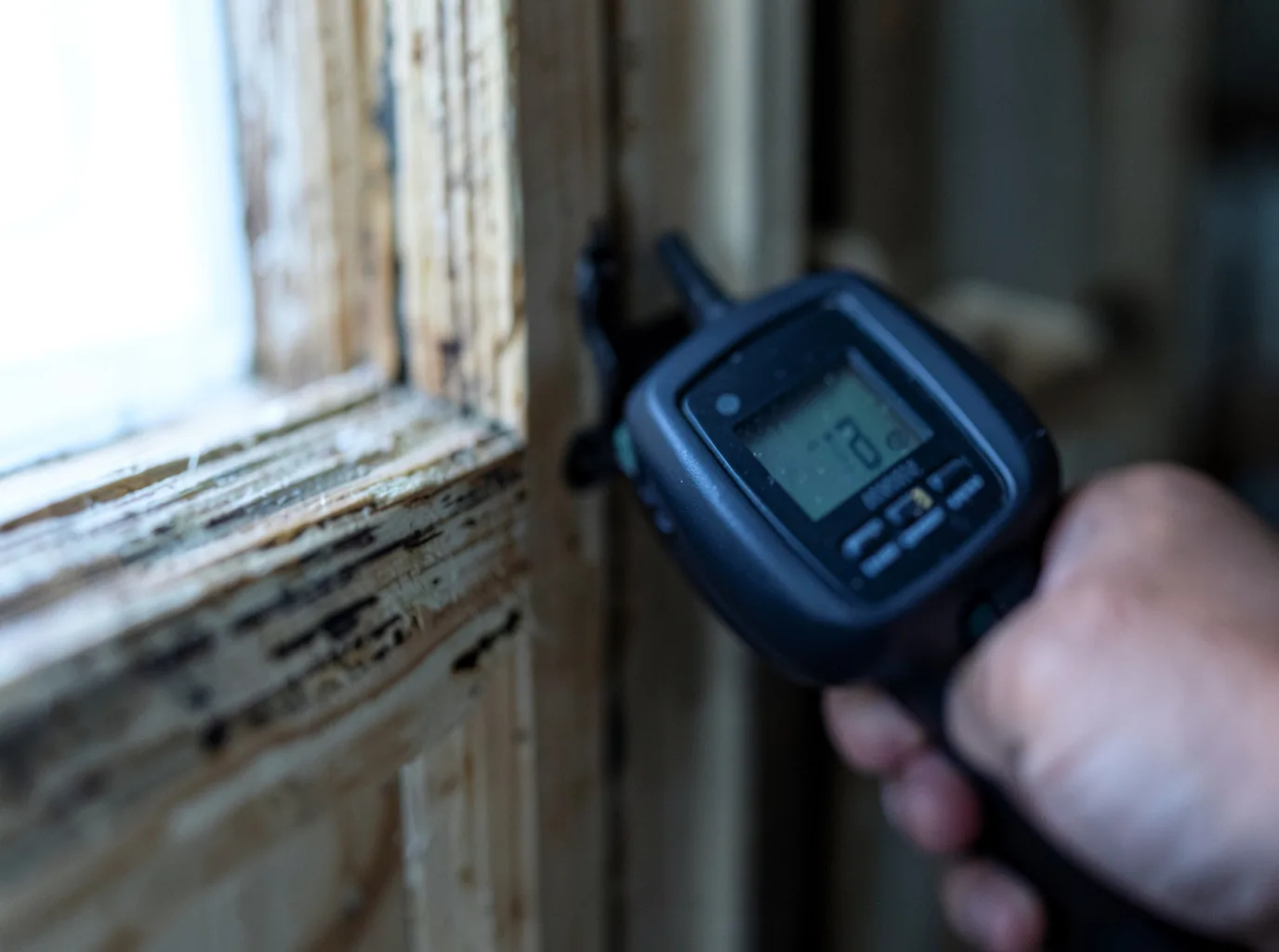 Moisture Inspection And Documentation in Bondville, VT